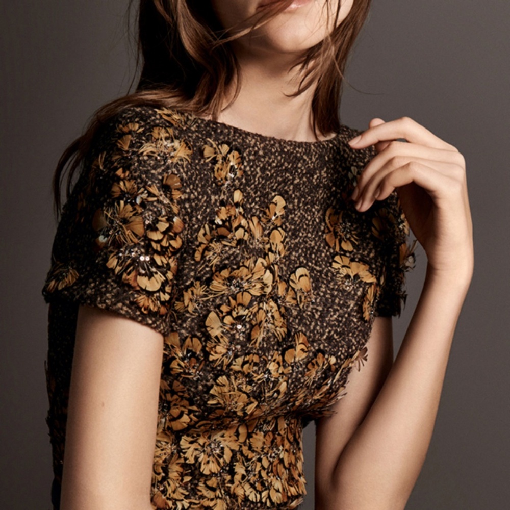 MUSEUM-QUALITY $8495 Michael Kors Collection Embroidered Feather Runway Dress 4